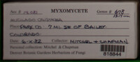 Image Associated With the Occurence